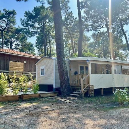 La Cabane Des Pins Lège-Cap-Ferret Exterior foto