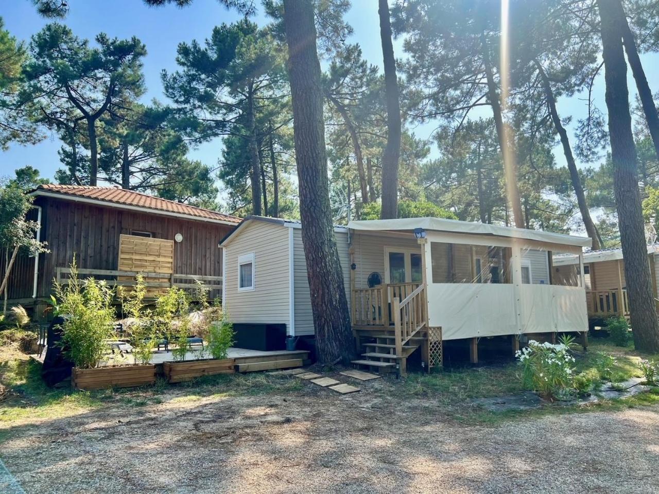 La Cabane Des Pins Lège-Cap-Ferret Exterior foto